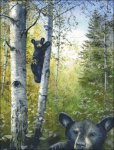 (image for) Cant Bear To Look